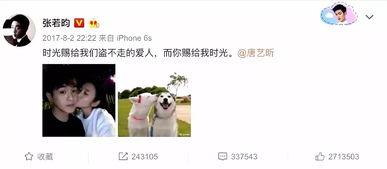 谁是谁 