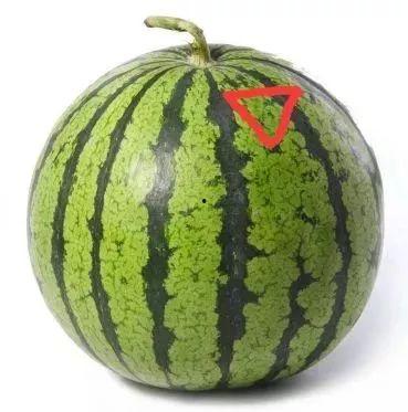折耳狗记账 